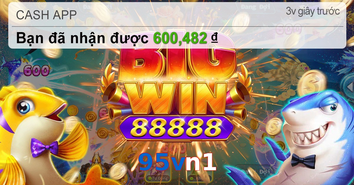 95vn1